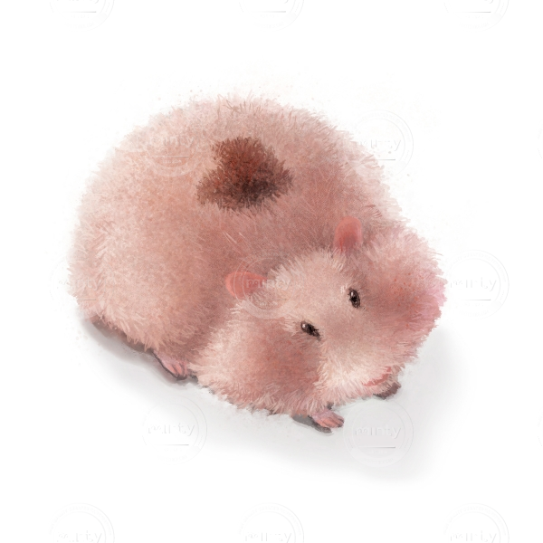 Love-CardDesign-hamster-cute