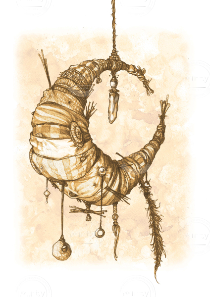 Portfolio Troll moon