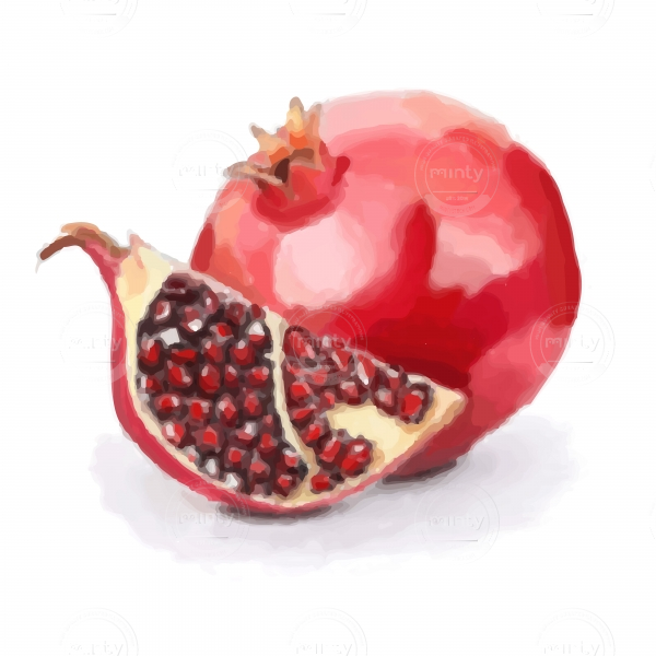 pomegranate fruit1