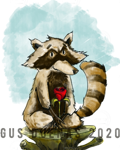 racoon