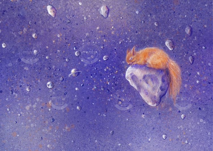 Red squirrel drifting on a meteorite through a starry sky.