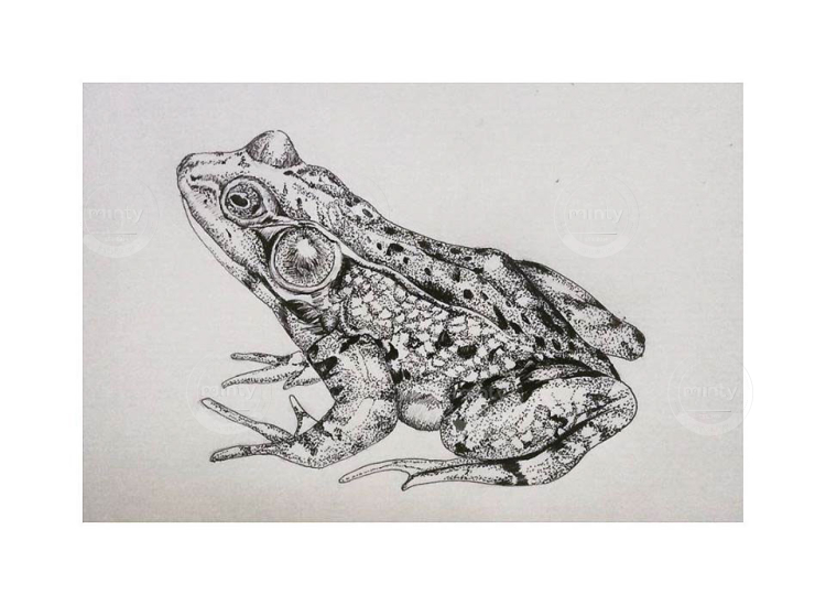 78826059632117.5a2945cb3ec4d