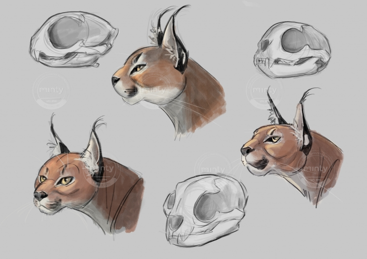 caracal_print2