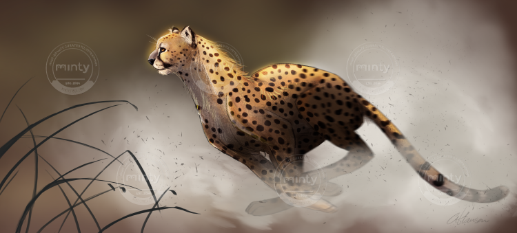 cheetah_run