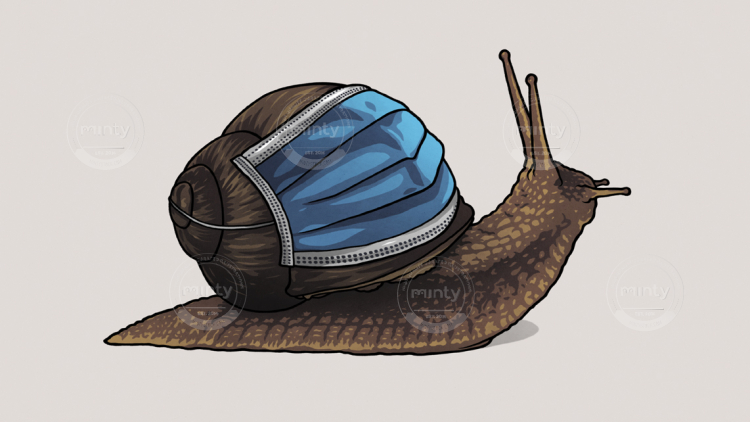 How long will it really last?