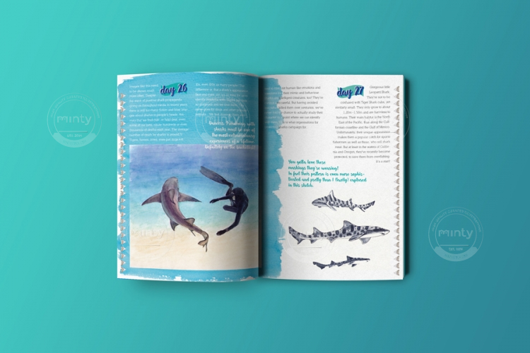 SharkBooklet-preview-flat-p40-41