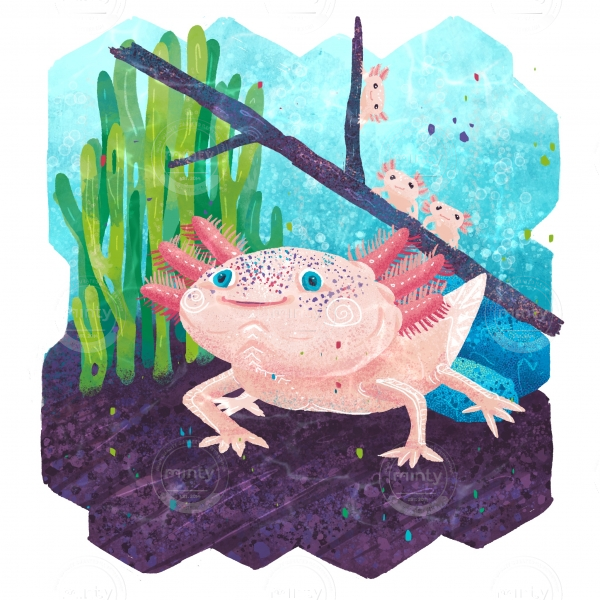 Axolotl - endangered species series