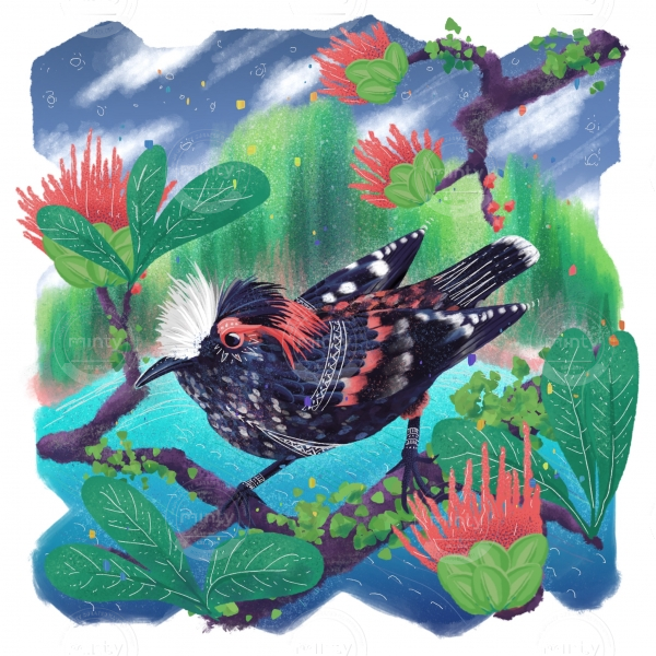 Akohekohe Hawaiian bird - endangered species series