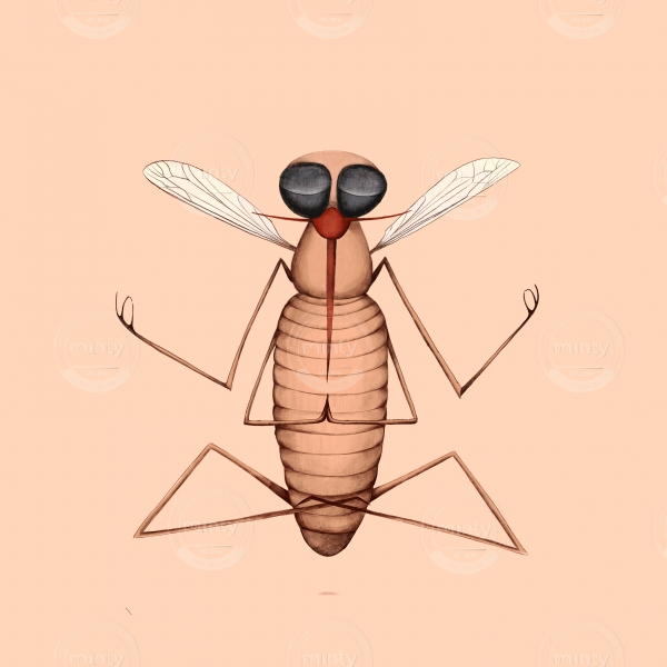 very zen mosquito doing yoga