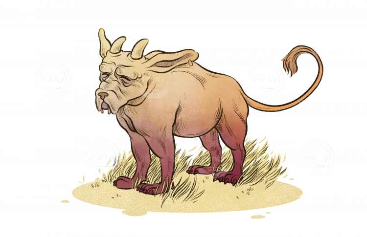 Bull Dog