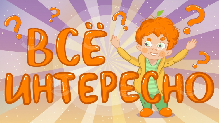 IMG_20210121_015724_997