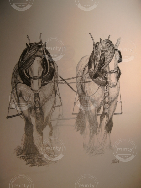 Plough horses