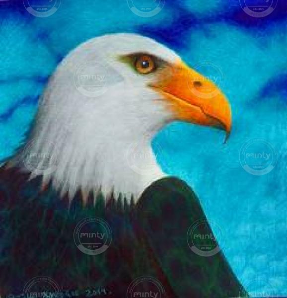 bald_eagle_by_john_baroque_ddg4b28-250t