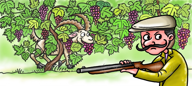 01 Козел и охотник FULL G