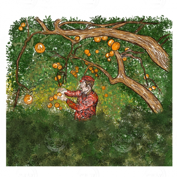 WhatsApp Image 2021-05-12 at 12.09.52 (1)