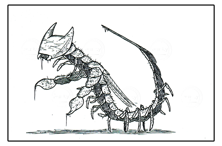 Binatang Kamar Mandi