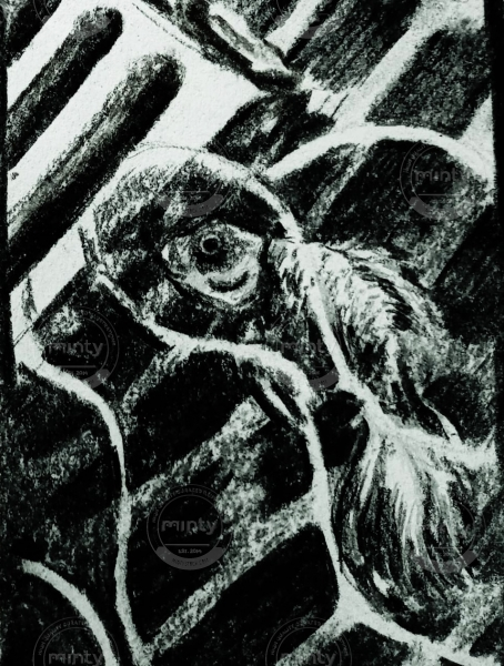 WhatsApp Image 2021-07-09 at 12.10.23 (1)