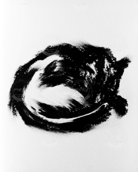 WhatsApp Image 2021-07-09 at 12.09.08