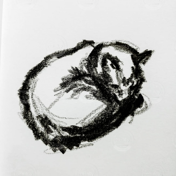 WhatsApp Image 2021-07-09 at 11.58.52