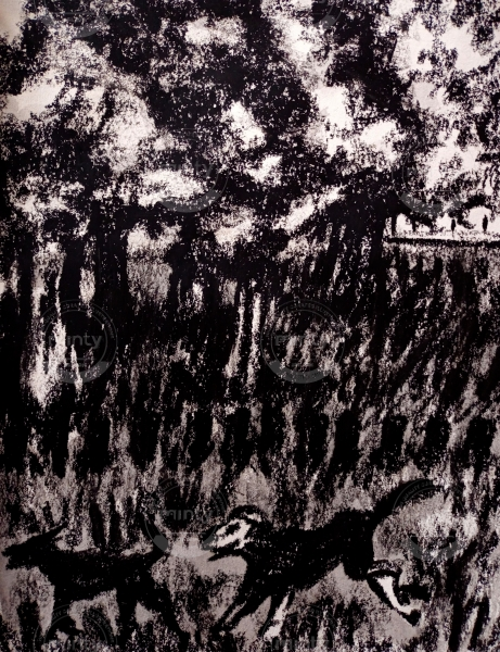 IMG_20210616_150240_628~2