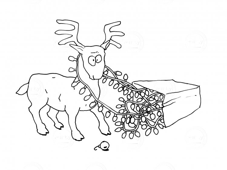 Reindeer2