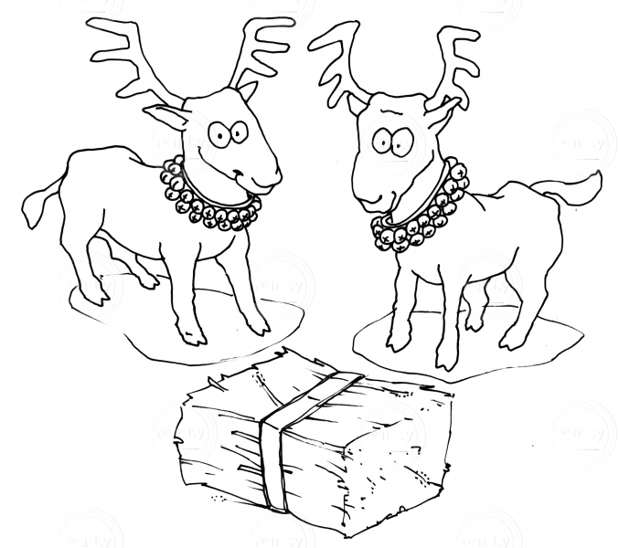 Reindeer3