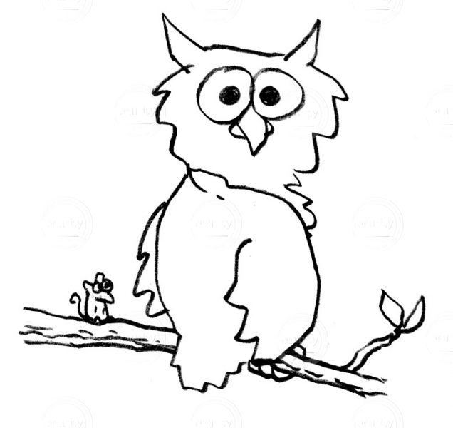 Owl_6