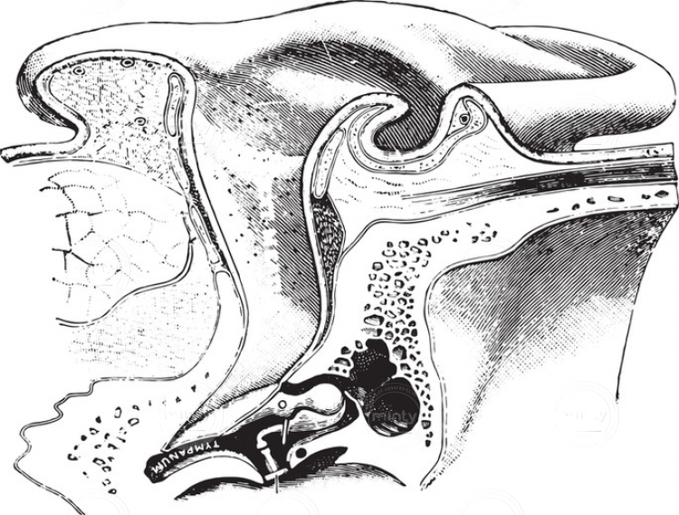 bcec657578aa479fa09d95fc4861105c