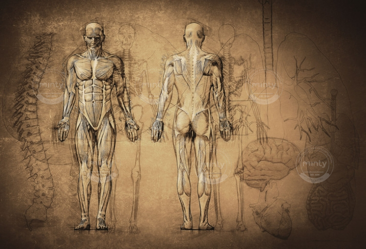 fc3d00cc412b4baf98d14c0c7c9382f7