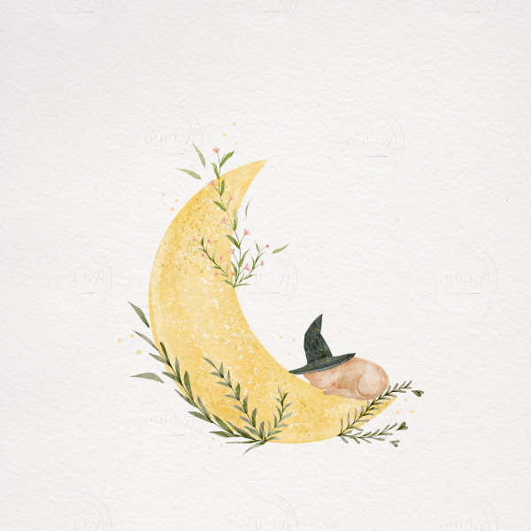 01FE776B-8984-40EE-882E-11C5794B2BD9