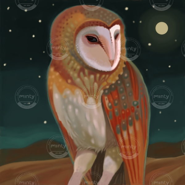 barn-owl-net