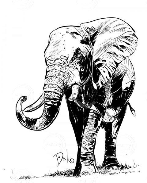 Elephant4Web