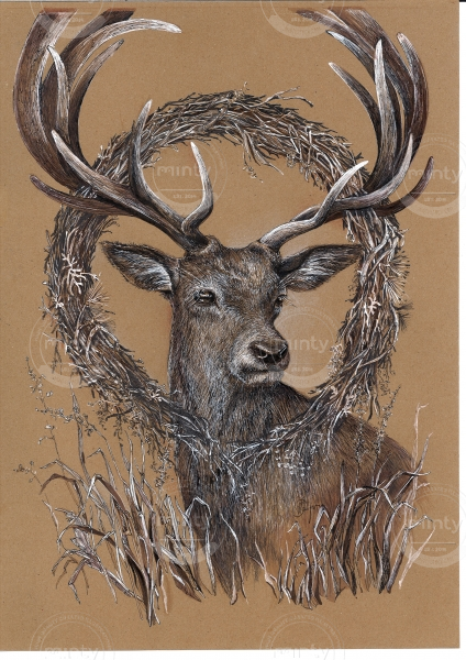 info_arko_perm_ru_20190222_145704_001