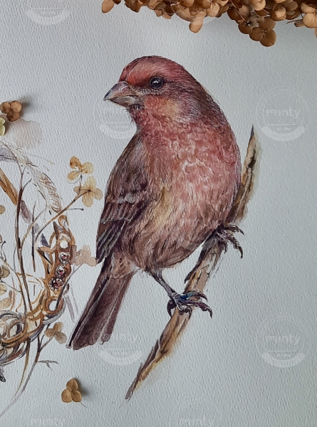 Акварель. Пташка