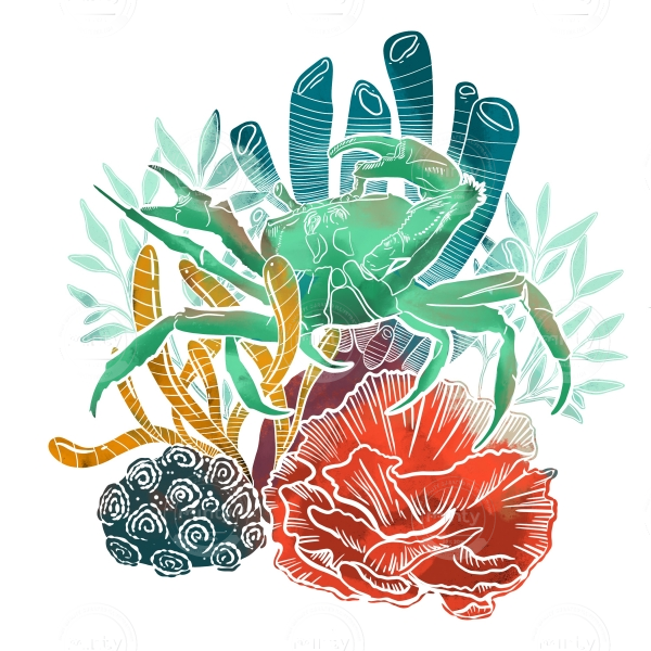 12A2C3EB-FBA4-4D1E-A465-AAB61F0B1A37