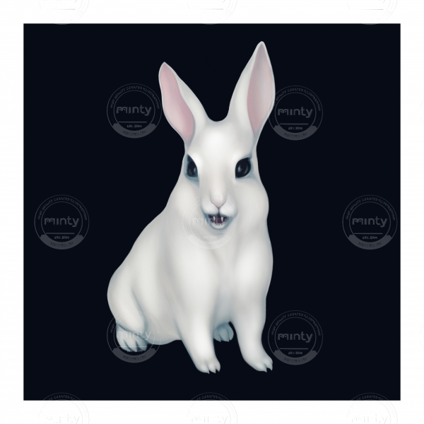 Whiterabbit