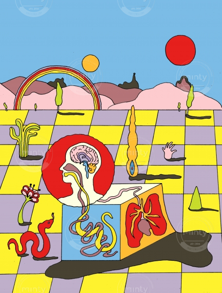 desertdream2portfolio