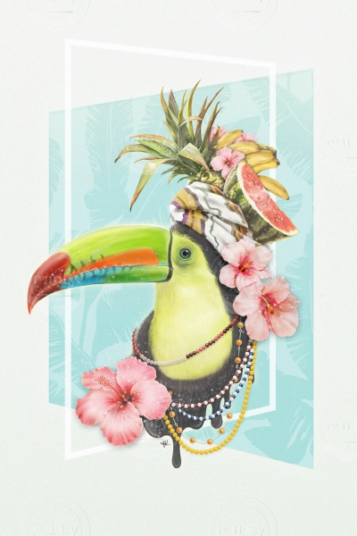 toucan02 2