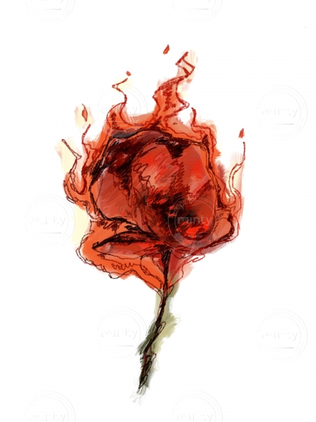 CB8ABB5E-DF75-40A9-9694-BB4200BFE6EF