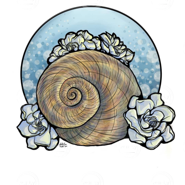 131826080_446305406774282_4624558367266695199_n