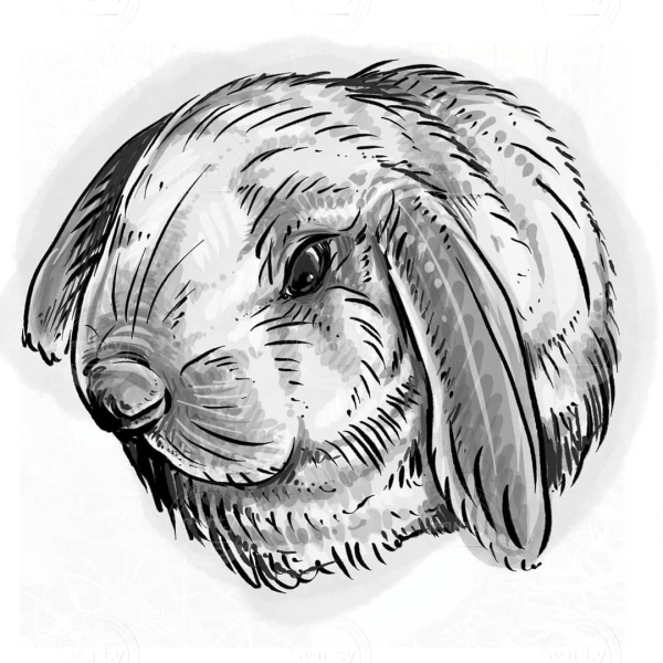 142282094_472824527455703_6101081464308538892_n