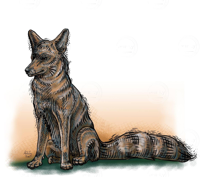 182744092_554810405923781_2575025818225282648_n