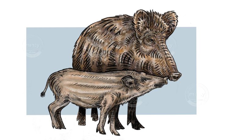 186511934_559950012076487_6089591753809244671_n