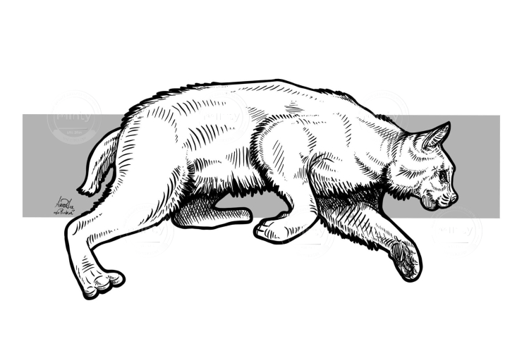 187214698_560813351990153_3799419968727026886_n