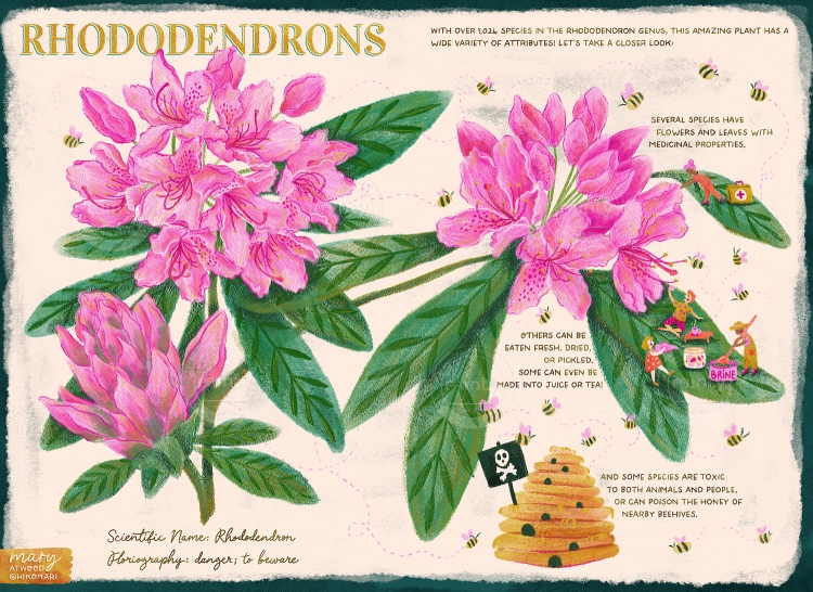 RHODODENDRON-BOOKSPREAD-LOWRES