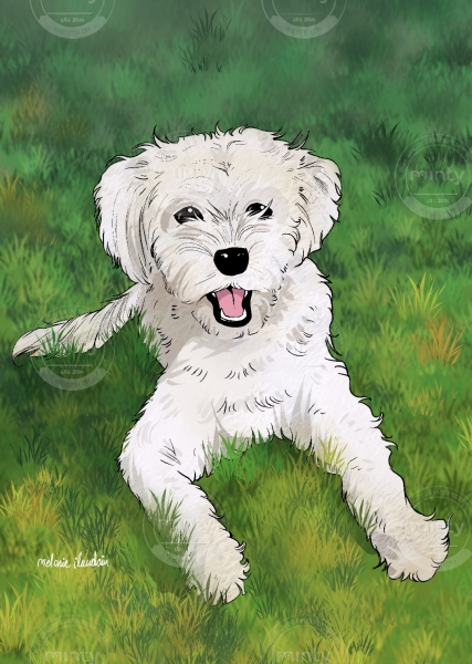 Screenshot_2023-02-13-15-24-20-911-edit_com.miui.gallery