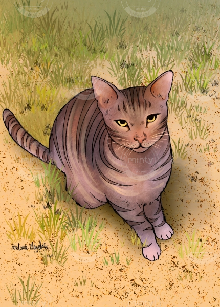 Screenshot_2023-02-13-15-23-59-596-edit_com.miui.gallery