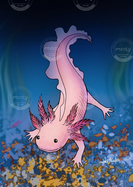 Screenshot_2023-02-13-15-24-34-369-edit_com.miui.gallery