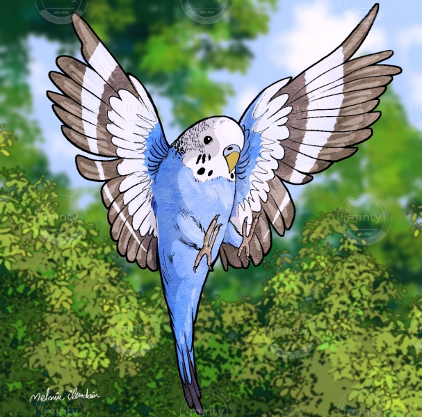 Screenshot_2023-02-13-15-24-49-695-edit_com.miui.gallery