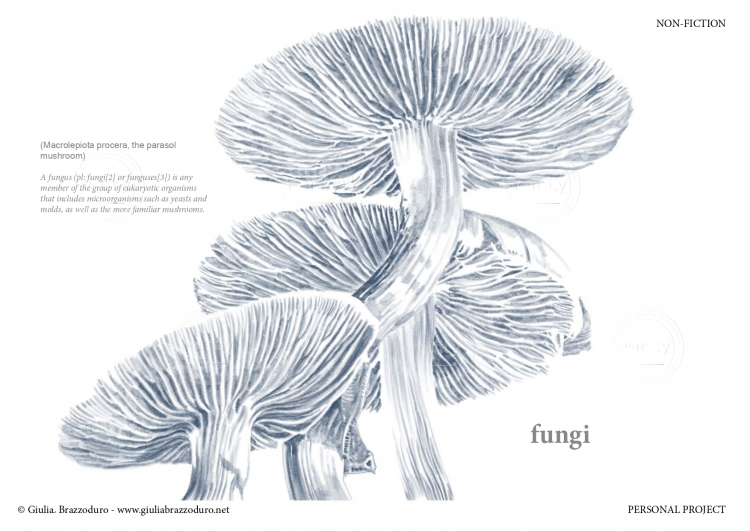 Giulia_Brazzoduro_Portfolio23_page-0026